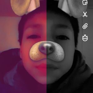 Meet your Posher, Nemo